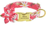 PawPrints™ – Personalized Dog Collar with Removable Flower - Image 7