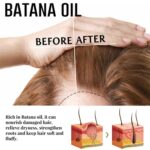 BananaGlow™ Hair Recovery Elixir – Root Booster & Split-End Repair - Image 5
