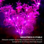 Outdoor Waterproof Solar Phalaenopsis Lamp Garden Decorative Lights - Image 4