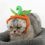 Halloween Pet Cats Costume Props Creative Pumpkin - Image 2