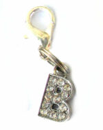A-Z Crystal Letter Pet Charms - Image 5