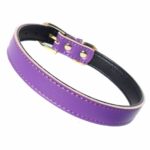 Plain Chelsea Dog Collars (4 sizes) 8-16" - Image 8