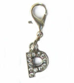 A-Z Crystal Letter Pet Charms - Image 19