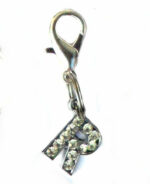 A-Z Crystal Letter Pet Charms - Image 22