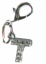 A-Z Crystal Letter Pet Charms - Image 24