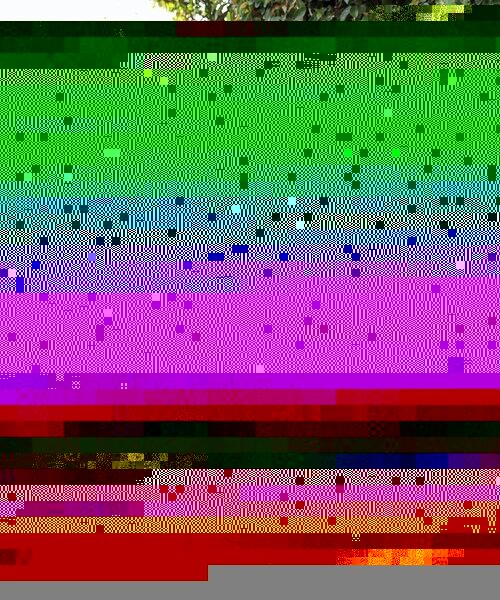 Tropical Leaves Draped Sleeve Kimono