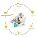 Tumbler Balanced Wheel Swinging Ball Cat Toy - Image 5