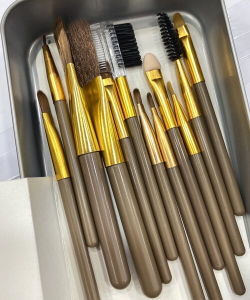 Professional Makeup brush set pack of 12 pcs brushes