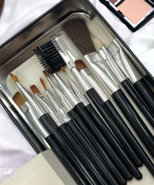 Professional Makeup brush set pack of 12 pcs brushes