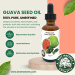 Guava Seed Oil (organic, cold pressed, unrefined) - Image 3