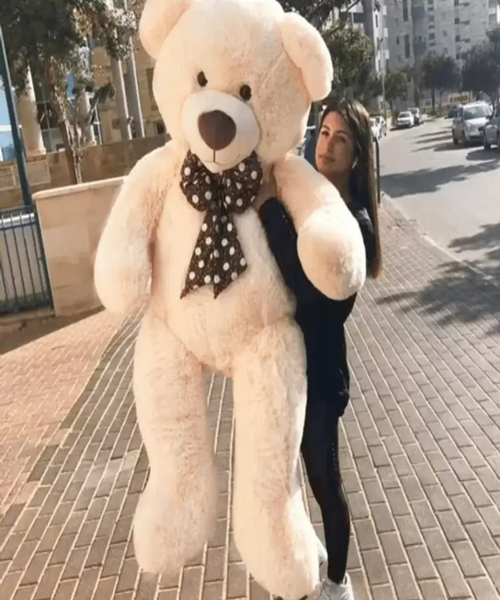 5 feet teddy bear gift 150cm beige colour soft toy