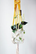 Macrame Plant Hanger, Hand Dyed, Hanging Planter - Image 3