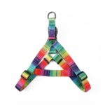 Matching Leash & collars Set - Image 4