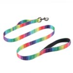 Matching Leash & collars Set - Image 2