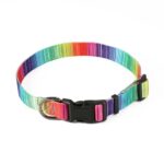 Matching Leash & collars Set - Image 3