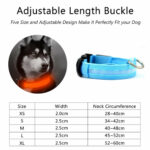 2 PCS Set Nylon LED Dog Collar - Image 4